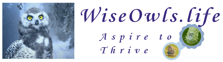Aspire to Thrive